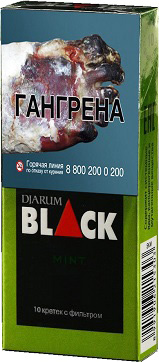 Djarum Black Mint